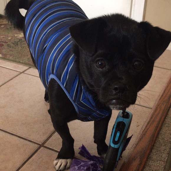 Meet your Posher, Jordan - Picture 2 of 2